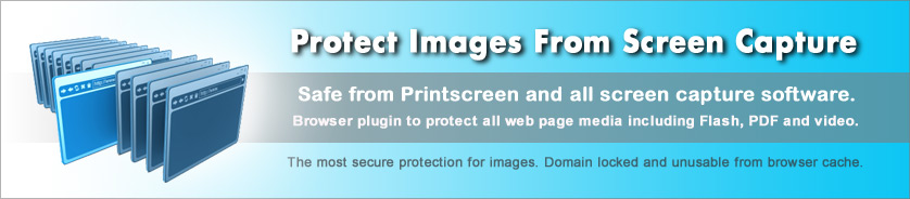 Copy Protection for Images, Web Pages and Web Media